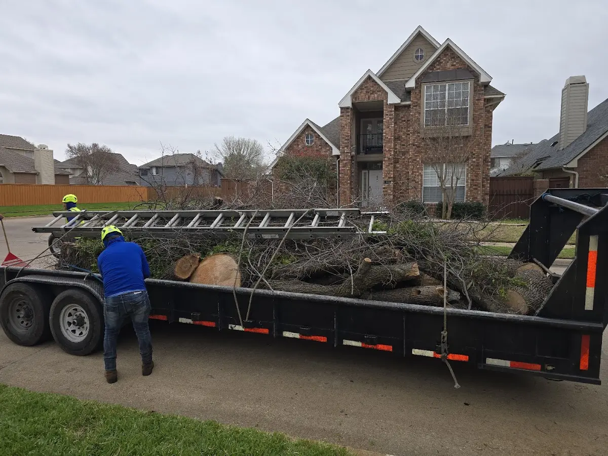 Expert Tree Fertilization with proper safety equipment in Lancaster